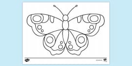 Butterfly Pattern Symmetry Worksheet - Science Resource - Twinkl
