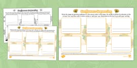 Wolves Mind Map (teacher made) - Twinkl