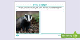 Badger Features Labelling Activity,badger (teacher made)