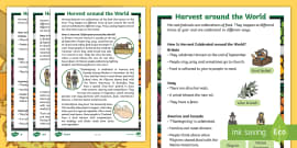 Fruit and Vegetable Descriptive Word Cards - fruit and