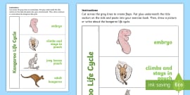 Kangaroo Life Cycle Word Mat - Primary Resource - Twinkl