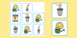 Parts of a Plant Worksheet | Twinkl Teacher-Made Resources