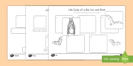 Life Cycle of a Bald Eagle Activity Pack (Teacher-Made)