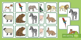 Animal Bingo and Lotto Game | Printable | Teacher-made