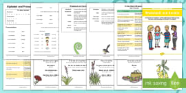 Whakapapa Template Family Tree Worksheet