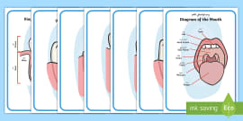 Arabic Translation Afraa Arabic Translation - Arabic/English