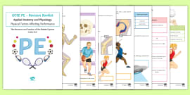 GCSE PE: The Structure And Function Of The Muscular System Revision Booklet