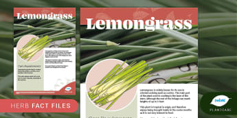 Herbs Fact File: Lemongrass, Plants, Plantcare, Outdoor,