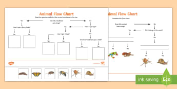 Animal Kingdom Science Chart