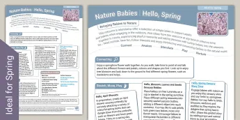 Spring Nature Activities | twinkl.co.uk