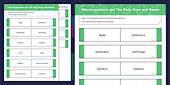 Microorganisms Fact File Microorganisms Resources | twinkl.co.uk