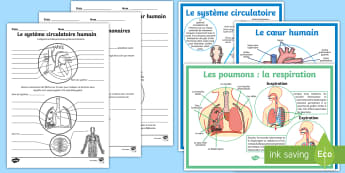 La Planète Terre Et Les êtres Vivants Cycle 3 Français