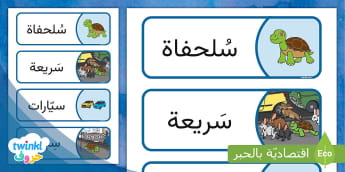 بطاقات مفردات قصّة حرف السين - أنشطة تعليمية - توينكل
 Learn Arabic Phonics and Letters: A Fun and Engaging Guide for Kids