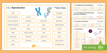 Evolution Resources | twinkl.co.uk