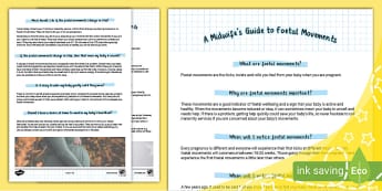 A Midwife's Guide to Foetal Movements