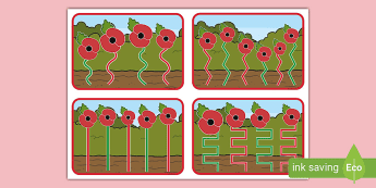 Remembrance Day Poppy • Twinkl.co.uk