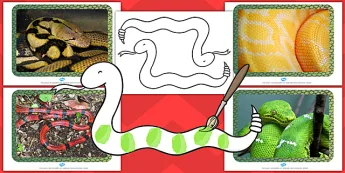 Snakes Art Activities | twinkl.co.uk