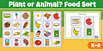 Plant or Animal? Food Origins Sorting Activity