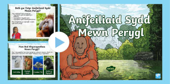 Pŵerbwynt Anifeiliaid Mewn Perygl