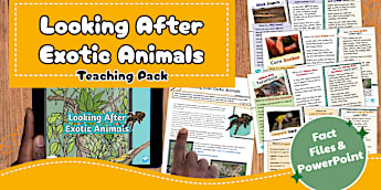 KS1 Looking After Exotic Animals Science Teaching Pack