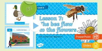 Level 6 | ESL Curriculum - for Beginners | ESL Resources - for Teachers