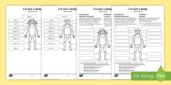 Body Awareness Worksheets | twinkl.com.au