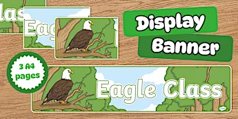 Eagle Classroom Resources | twinkl.co.uk