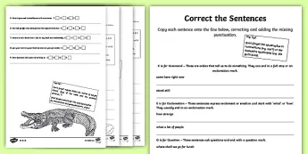 Correct the Sentence Worksheets | Twinkl