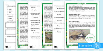 KS1 Badgers Differentiated Comprehension Worksheets - Children's Books, story, book, Easter, save, saving, Easter Bunny, bunny, bunnies, stories, chick, 