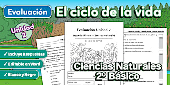 Evaluación | 2º básico | Unidad 2 | Ciencias Naturales