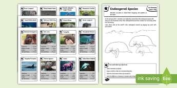 Endangered Species Top Card Game - amazing fact august, endangered, critical, species, animal, extinction, manatee