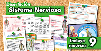 Disertación | Sistema Nervioso | 2° Básico | Ciencias