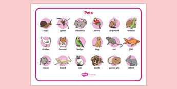 Pets Word Mat - Children's Teaching Resource - Twinkl