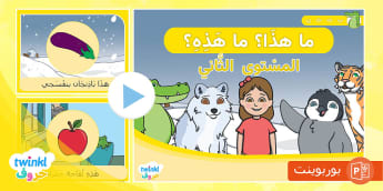 كُتيب القراءة الموجّهة -المستوي الثاني
learn Arabic Phonics and Letters: A Fun and Engaging Guide for Kids