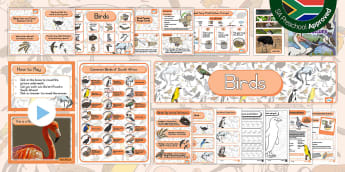 Preschool: Birds - Resource Pack