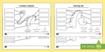 Deaf Awareness Equipment Labelling Worksheet - magnet, coil, sound processing unit, indicator light, controller and batteries compartment, control 