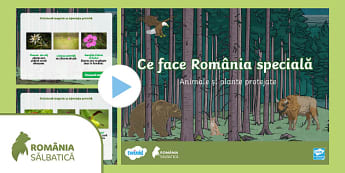 Ce face România unică: Animale și plante protejate 9-12 ani
