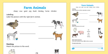 Farm Animals Worksheet