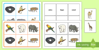 Bring the zoo to your classroom with these resources