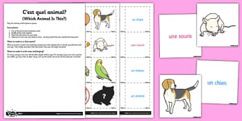 French Worksheet / Worksheet C'est Quel Animal - french, activity, c'est quel animal, worksheet