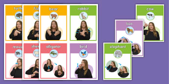 American Sign Language (ASL) Worksheets | World Languages | Twinkl