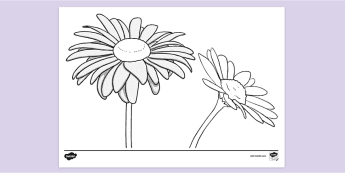 Free Printable Colouring Sheets For Parents and Children