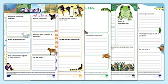 Empty Fact File Worksheet Science Research Worksheets | twinkl.co.uk