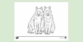 Wolves Artworks | twinkl.com.au