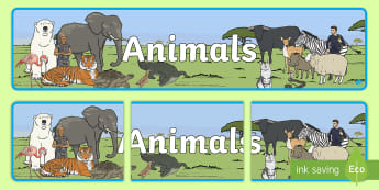 Animals For Kids | KS1 Primary Activities | Twinkl - Twinkl