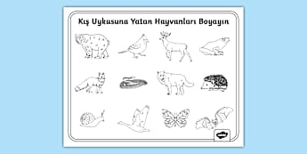 Kış Uykusuna Yatan Hayvanlar | Boyama Etkinliği