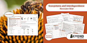Ecosystems and Interdependence | KS3 Biology | Beyond