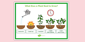 What Plants Need to Grow Poster