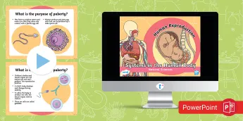 Repodution Systems Human Body Systems | twinkl.co.uk