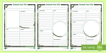 Jungle & Rainforest Writing Frames and Worksheets Primary Resource